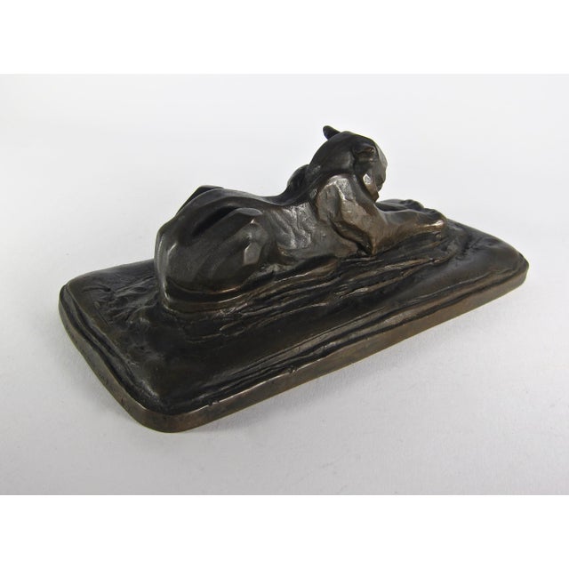 Early 20th Century Marie Zimmermann Lioness Roman Bronze Works For Sale - Image 5 of 11