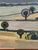 1940s Modernist Abstract Landscape For Sale In Boston - Image 6 of 10