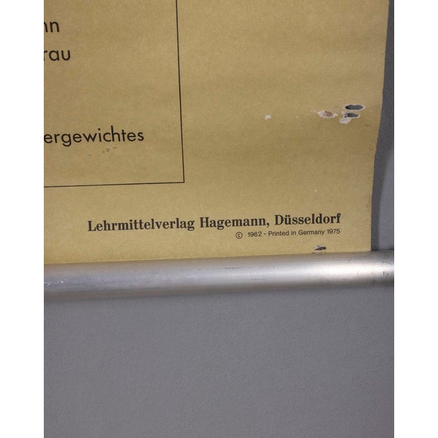 Vintage School Poster Breathing and Blood Circulation from Lehrmittelverlag Wilhelm Hagemann, 1970s For Sale - Image 13 of 14