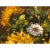 2010s Impasto Oil Paint Canvas Art Sunflowers Blue Vase Scroll Painting For Sale - Image 5 of 9