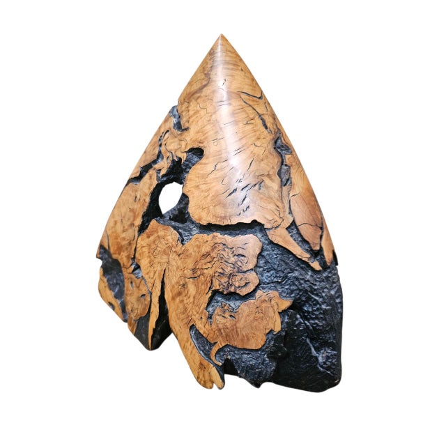 Contemporary Signed Donnelly 1990 Abstract Wildlife Wood Sculpture – Organic Modern Art For Sale - Image 3 of 8