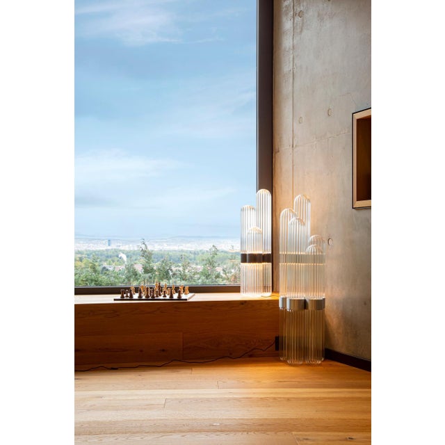 Small Cactus Floor Lamp in Transparent with Black Centrepiece by Mickael Koska for Pulpo For Sale - Image 4 of 7