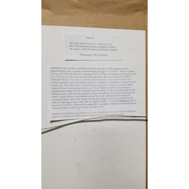 Hawaiian Nature Photographic Silver Print Set Titled "Mea'ai" by Michael Lemes For Sale In Los Angeles - Image 6 of 8