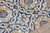17th Century 17th Century Portuguese Antique Tiles Set of 40 Blue, Yellow & White Geometric Floral For Sale - Image 5 of 18