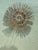 Vintage MCM Wrought Iron Sunburst For Sale - Image 4 of 12