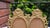 Double Brass Frame, 1980s For Sale - Image 3 of 8