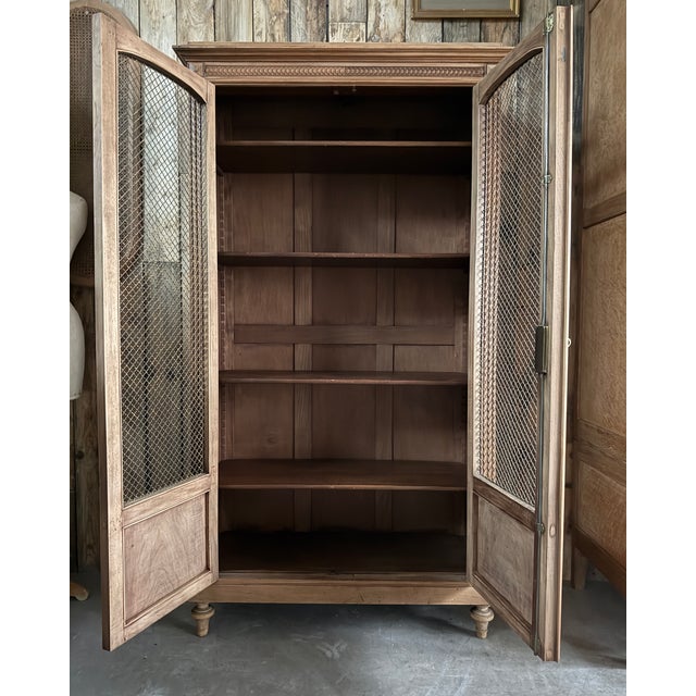 Antique Library with Wire Mesh Doors, 1890s For Sale - Image 13 of 16