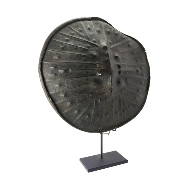 Black Oromo-Sidama Leather Warrior's Shield, 1875-1925 For Sale - Image 8 of 10