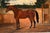 Animal Composition, 1790, Oil Painting on Canvas For Sale - Image 3 of 11