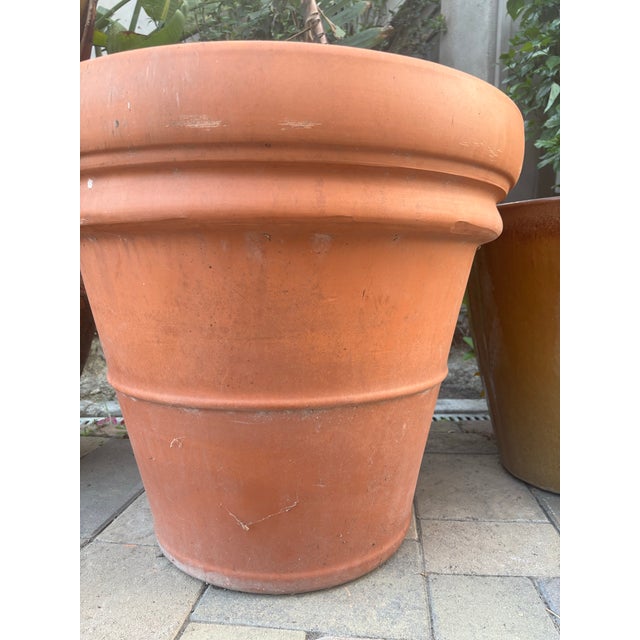 Large Vintage Italian Terracotta Garden Planter With Rolled Rim, Tuscany For Sale - Image 10 of 12