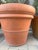 Large Vintage Italian Terracotta Garden Planter With Rolled Rim, Tuscany For Sale - Image 10 of 12