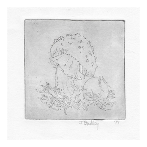 1977 John Bradley Mushroom Etching