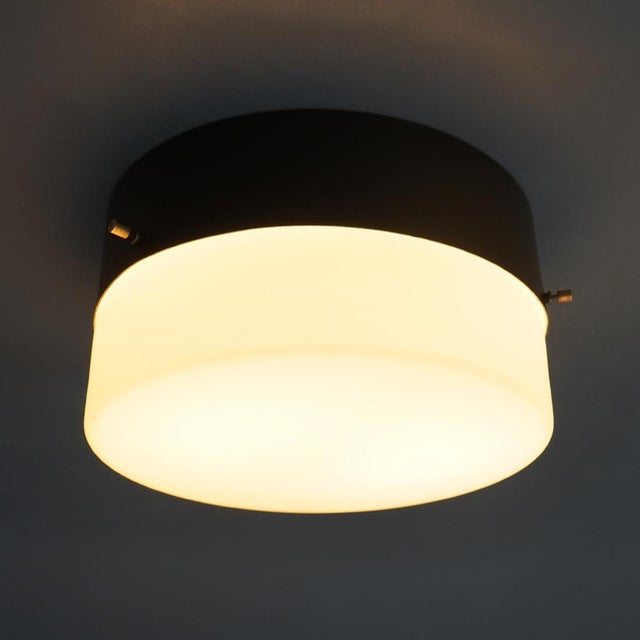 Vintage Ceiling Light in Opal White Glass, 1950s For Sale - Image 10 of 13