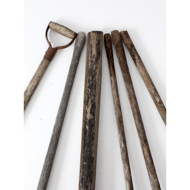 Antique Garden Tool Collection For Sale - Image 18 of 18