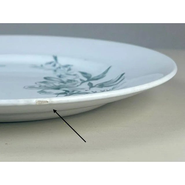 Antique Italian Botanical Plates | s.c.r. Linneo Green Transferware Set (20cm) For Sale - Image 4 of 18