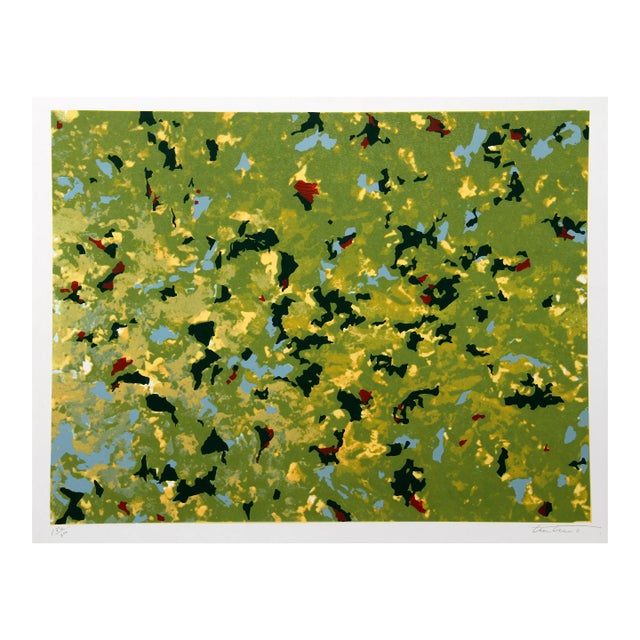 Domenick Turturro, Fern Hills, Silkscreen For Sale