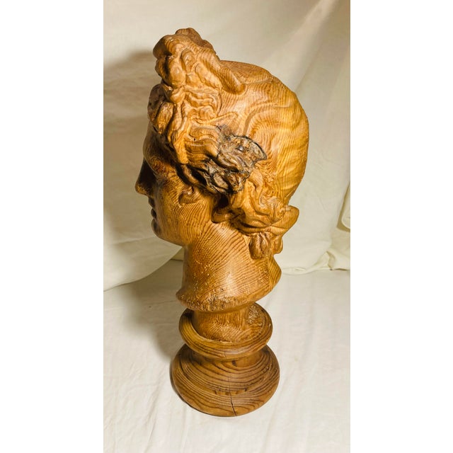 Copper Vintage Hand Carved Wood Bust of the God Apollo For Sale - Image 8 of 11