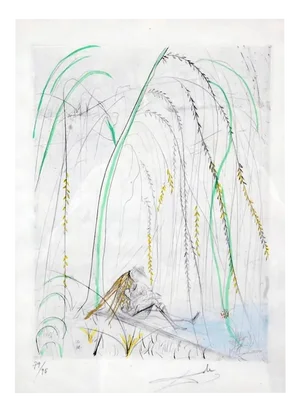 Salvador Dali, Les Amours de Cassandré, 1970s, Lithograph