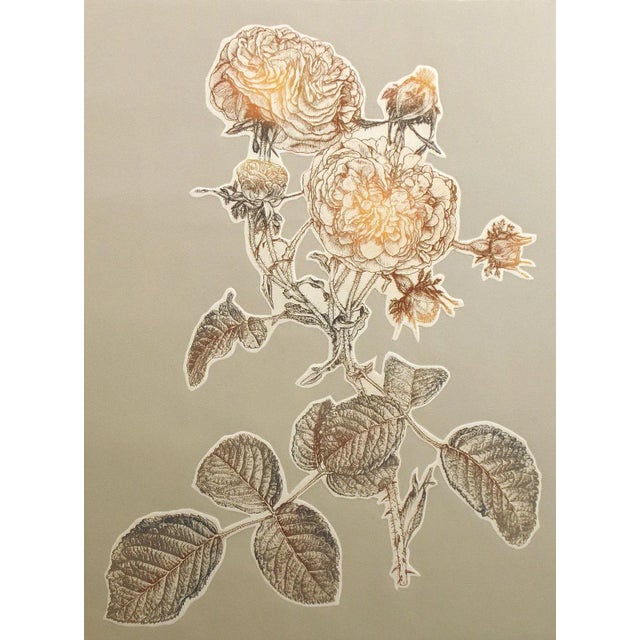"Southern Rose II" by Catherine Ruane O'Connor Original Limited Edition Etching Hand signed by the artist Paper Size: 30"...