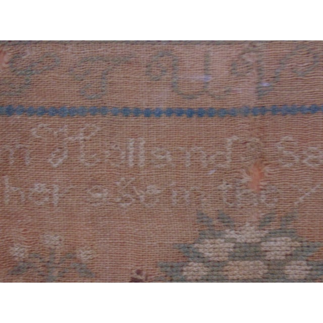 Folk Art 1832 Alphabet Sampler by Phebe Ann Holland in Original Burled Maple Frame For Sale - Image 3 of 10