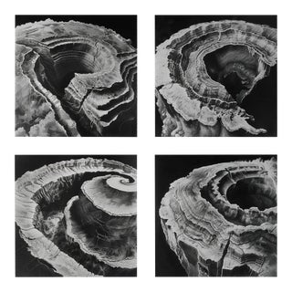 Relief Landscapes – Set of Four Fine Art Prints For Sale