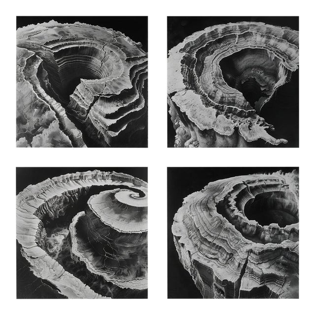 Relief Landscapes – Set of Four Fine Art Prints For Sale