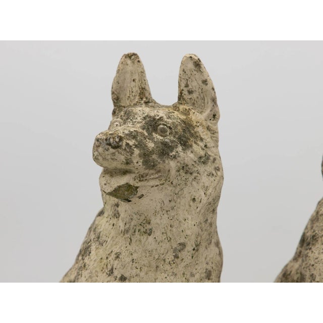 Pair of Concrete Shepherd Dogs, English Mid 20th Century For Sale In New York - Image 6 of 9