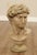 High Quality Vintage Cast Stone Outdoor Garden Bust of "David"