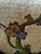 Chinese Cloisonné Ginger Jars, Pair For Sale - Image 10 of 12