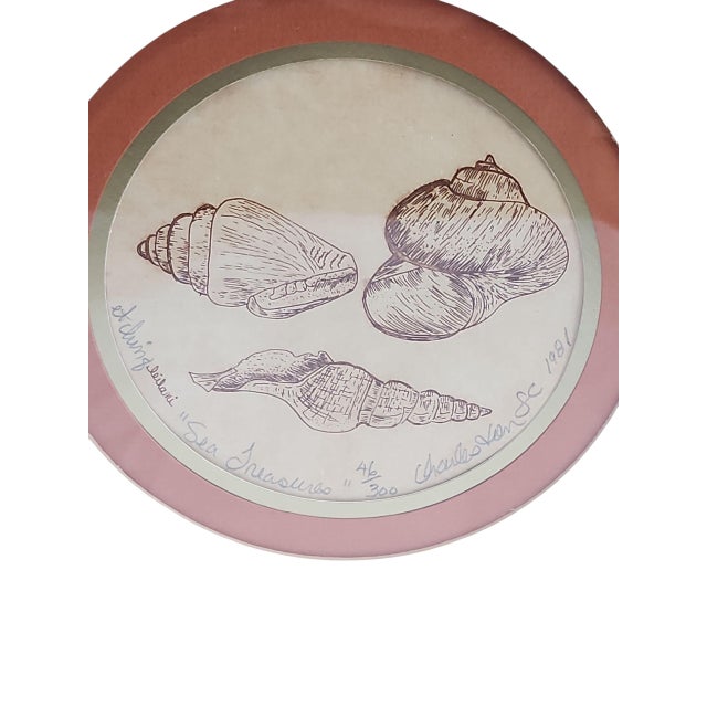 Coastal 1980s Original Leilani Seashell Drawings For Sale - Image 3 of 5
