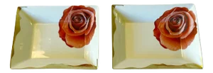 Roberto Cavalli Set of 2 Porcelain Trays