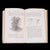Paper Antique Reference Book, the Vegetable World, English, Louis Figuier, Victorian For Sale - Image 7 of 12