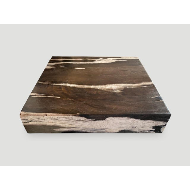 Andrianna Shamaris Petrified Wood Slab For Sale - Image 4 of 6