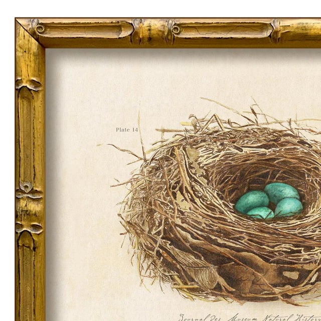 Various Artists Contemporary Reproduction of Vintage "Garden Friends" Art Print (5), Framed Bird Nest For Sale - Image 4 of 5