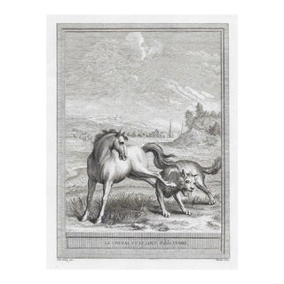 Antique Jean Baptiste Oudry Equestrian Print Horse and Wolf For Sale