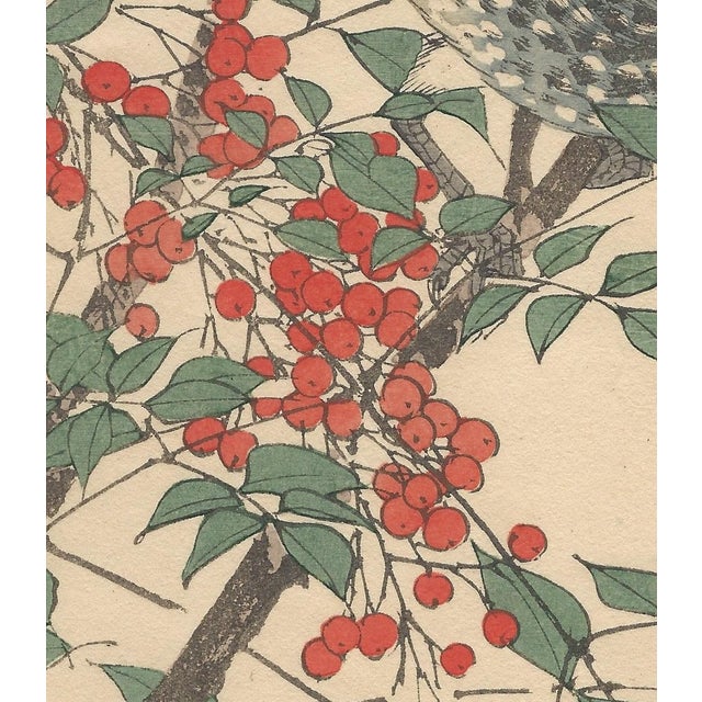 Imao Keinen, Brown-Eared Bulbul, 1892, Print For Sale - Image 6 of 13