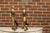 Metal 1970s Chapman Faux Horn and Brass Table Lamps - a Pair For Sale - Image 7 of 12
