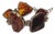 Mid 20th Century Natural Cognac Baltic Amber Panel Link Bracelet For Sale