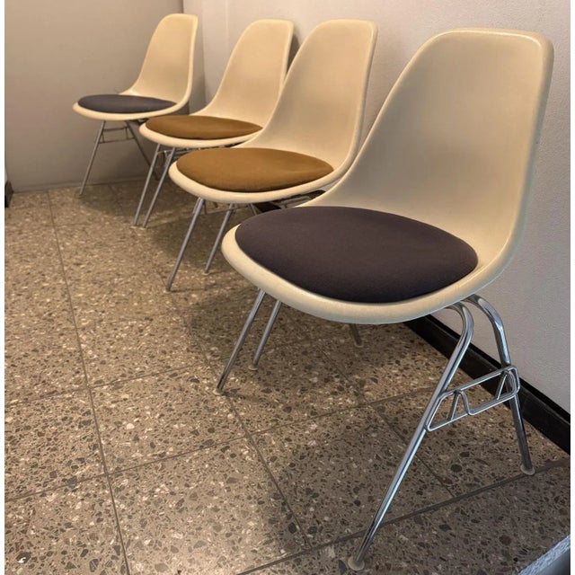 Mid-Century Modern Vintage DSS Side Chairs by Charles & Ray Eames for Herman Miller, 1960s, Set of 4 For Sale - Image 3 of 12