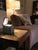 Black Cuboluce Table Lamp by Bettonica E Melocchi for Cini&nils, Italy, 1970s For Sale - Image 8 of 11
