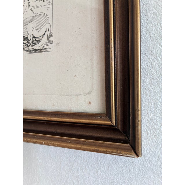 Antique Original Horse Etching, Circa 1700: Framed Equestrian Print For Sale - Image 4 of 10