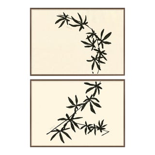 Maypop I and II by Susan Hable For Sale
