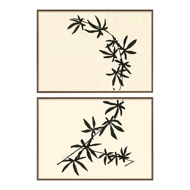 Maypop I and II by Susan Hable For Sale