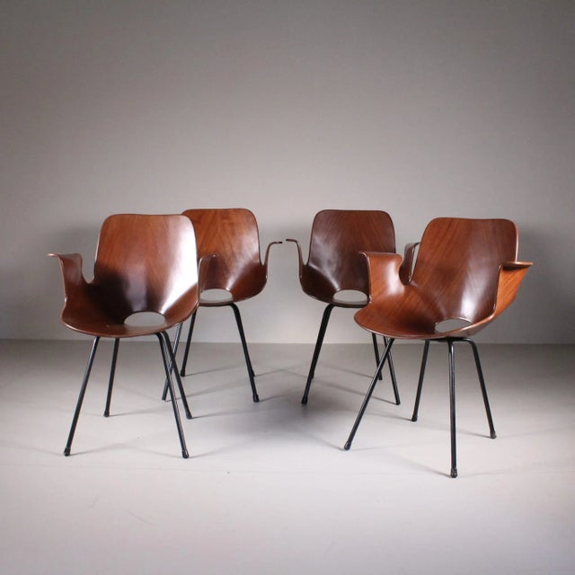 Wood Medea Chairs with Armrests by Vittorio Nobili for Fratelli Tagliabue 1960s, Set of 4 For Sale - Image 7 of 7