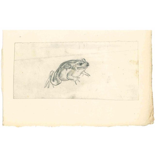 Frog is a drawing in pencil realized in the early 1930s by Emmanuel Gondouin, (Versailles, 1883 - Parigi, 1934) The...