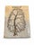One-of-a-Kind Studio Pottery Lidded Box With Tree Motifs, Possibly 1970s For Sale In San Diego - Image 6 of 9
