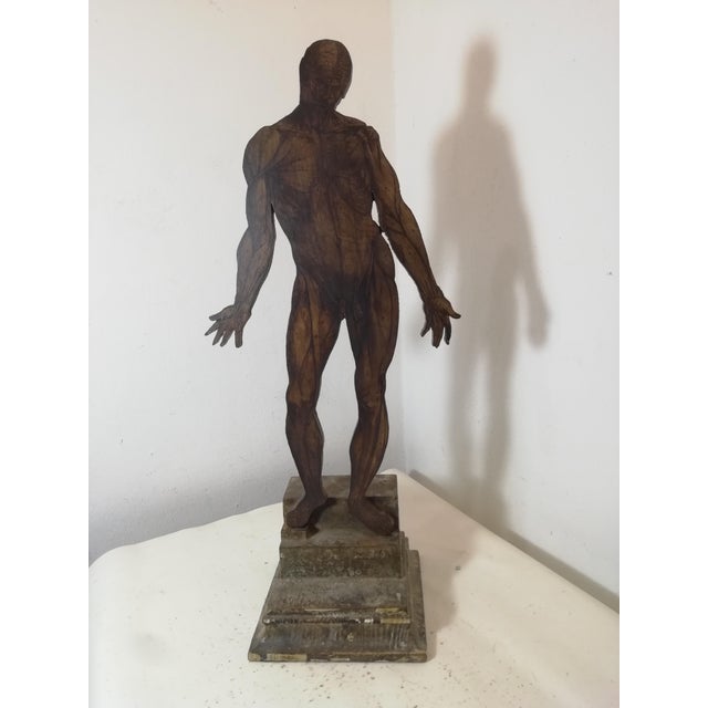 19th Century Anatomical Model of the Human Body, Italy, 1890s For Sale - Image 11 of 11