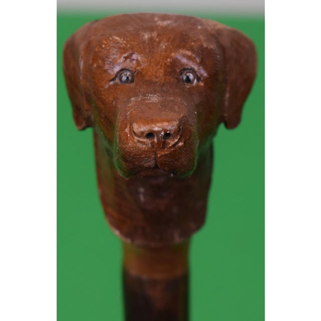 Traditional James Purdey & Sons Hand Carved Dog Head Knob Shillelagh Walking Stick For Sale - Image 3 of 9
