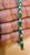 Approximately 9 Carat Emerald cut Emeralds &amp; Diamond Tennis Bracelet 14 Karat White Gold Size 7 inches long This...