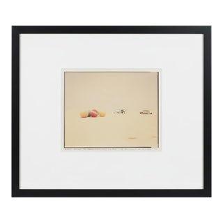 Richard Misrach Signed Limited Edition Burning Man Photograph Desert Croquet #3 For Sale